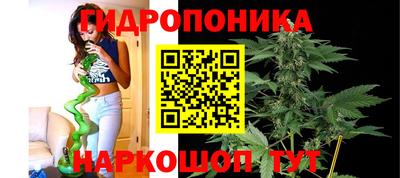прущий лед Кингисепп