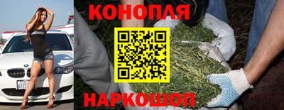 прущий лед Кингисепп