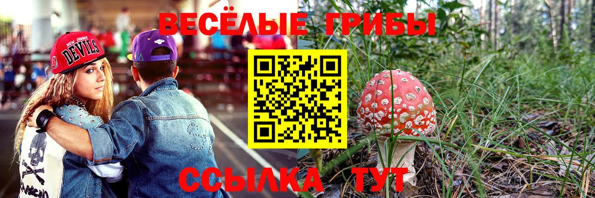Галлюциногенные грибы мухоморы Еманжелинск