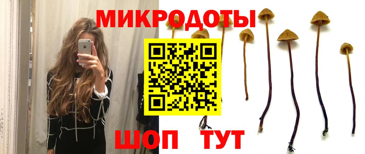 Еманжелинск  Псилоцибиновые грибы мицелий  Вход с VPN 